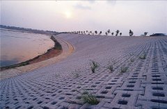 生態(tài)水利工程